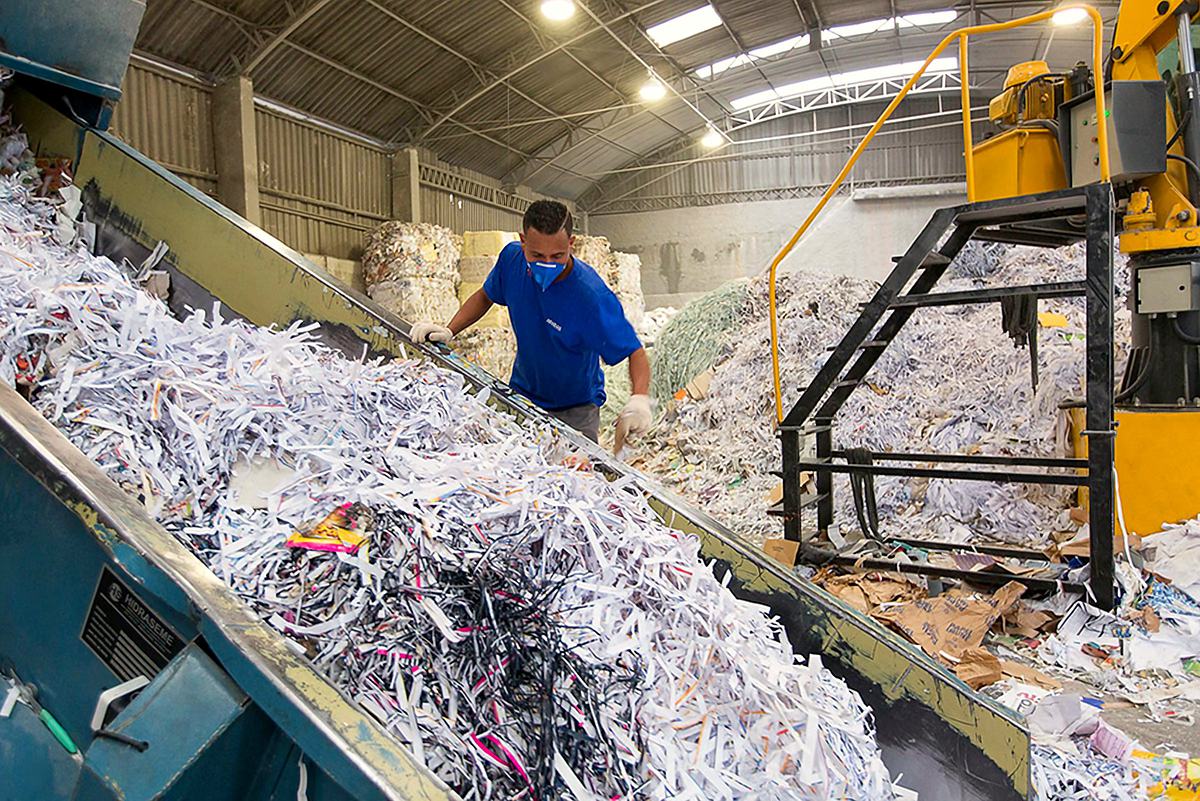 Funcionário conferindo papel na esteira da enfardadeira