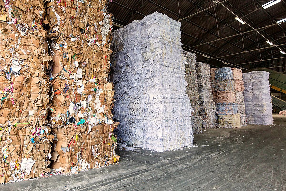 Fardos de papelão e de aparas brancas lado a lado